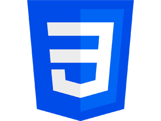 CSS CSS
